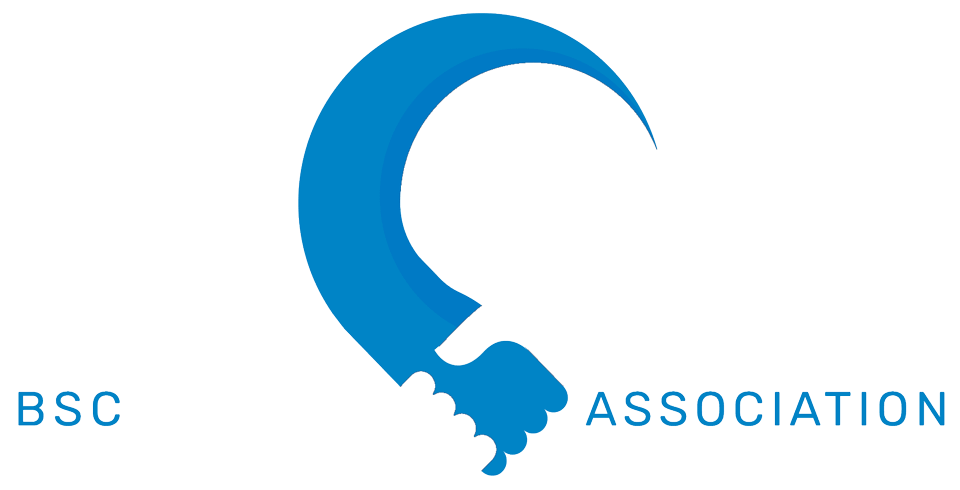 final-boa-logo-design-alternate-color